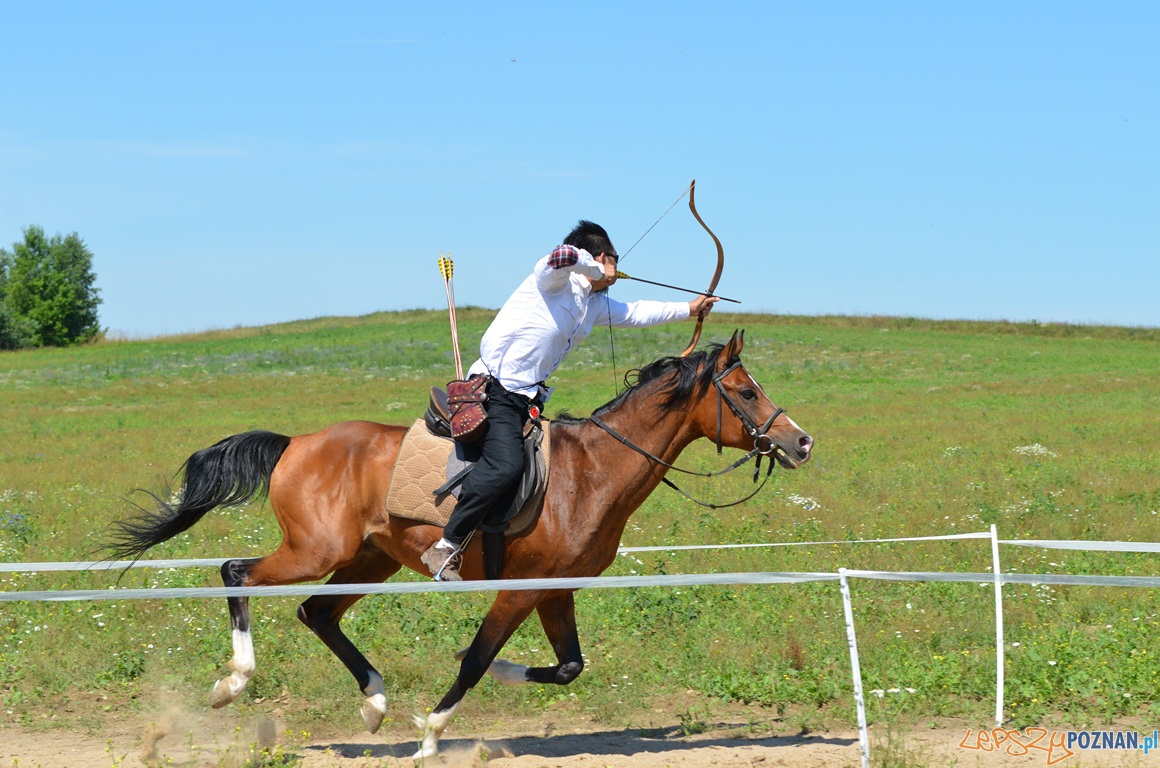Łucznictwo konne Foto: lepszyPOZNAN.pl / Jan Michalis Łucznictwo konne Foto: lepszyPOZNAN.pl / Jan Michalis