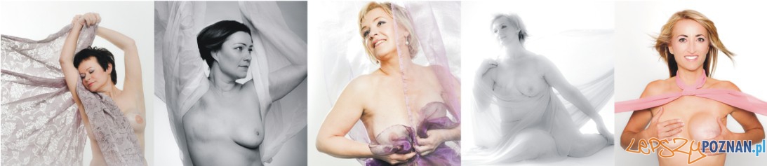 Wystawa Amazonki 2011 Foto: Katarzyna Piwecka i Ewa Rzyczniak Wystawa Amazonki 2011 Foto: Katarzyna Piwecka i Ewa Rzyczniak