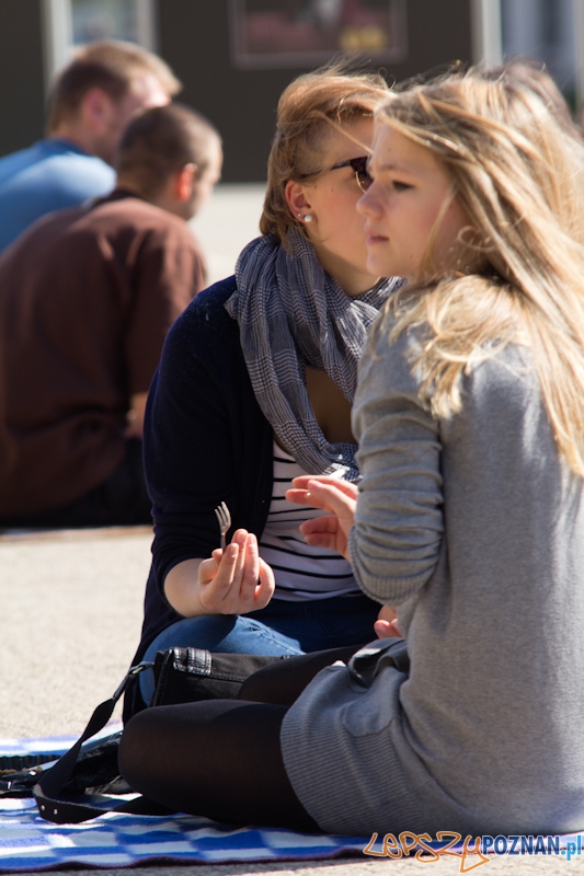 Piknik na placu Wolności Foto: lepszyPOZNAN.pl / Piotr Rychter Piknik na placu Wolności Foto: lepszyPOZNAN.pl / Piotr Rychter