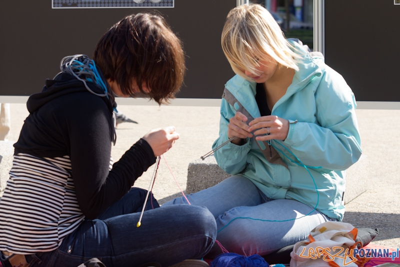 Piknik na placu Wolności Foto: lepszyPOZNAN.pl / Piotr Rychter Piknik na placu Wolności Foto: lepszyPOZNAN.pl / Piotr Rychter