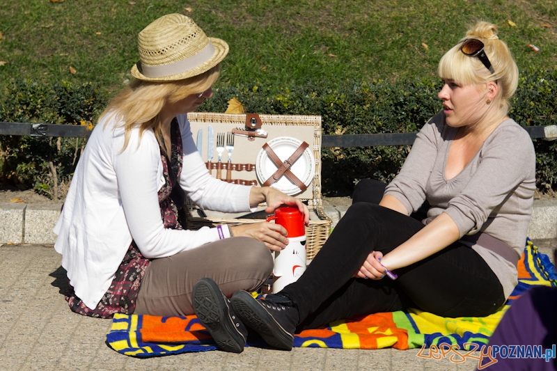 Piknik na placu Wolności Foto: lepszyPOZNAN.pl / Piotr Rychter Piknik na placu Wolności Foto: lepszyPOZNAN.pl / Piotr Rychter