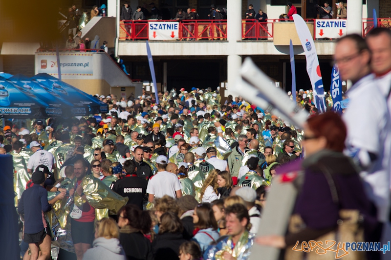 12 Poznań Maraton - Poznań 16.11.2011 r. Foto: lepszyPOZNAN.pl / Piotr Rychter 12 Poznań Maraton - Poznań 16.11.2011 r. Foto: lepszyPOZNAN.pl / Piotr Rychter