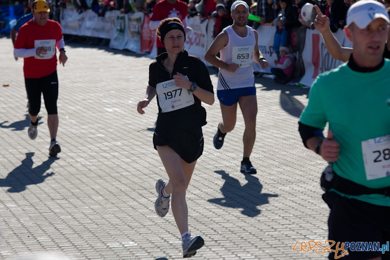 12 Poznań Maraton - Poznań 16.11.2011 r. Foto: lepszyPOZNAN.pl / Piotr Rychter 12 Poznań Maraton - Poznań 16.11.2011 r. Foto: lepszyPOZNAN.pl / Piotr Rychter