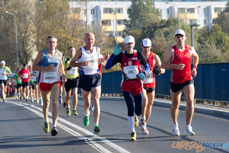 12 Poznań Maraton - Poznań 16.11.2011 r. Foto: lepszyPOZNAN.pl / Piotr Rychter 12 Poznań Maraton - Poznań 16.11.2011 r. Foto: lepszyPOZNAN.pl / Piotr Rychter