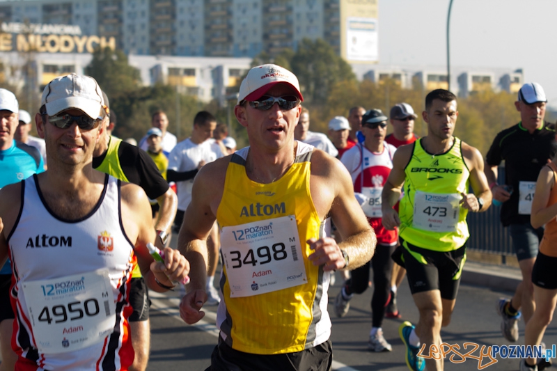 12 Poznań Maraton - Poznań 16.11.2011 r. Foto: lepszyPOZNAN.pl / Piotr Rychter 12 Poznań Maraton - Poznań 16.11.2011 r. Foto: lepszyPOZNAN.pl / Piotr Rychter