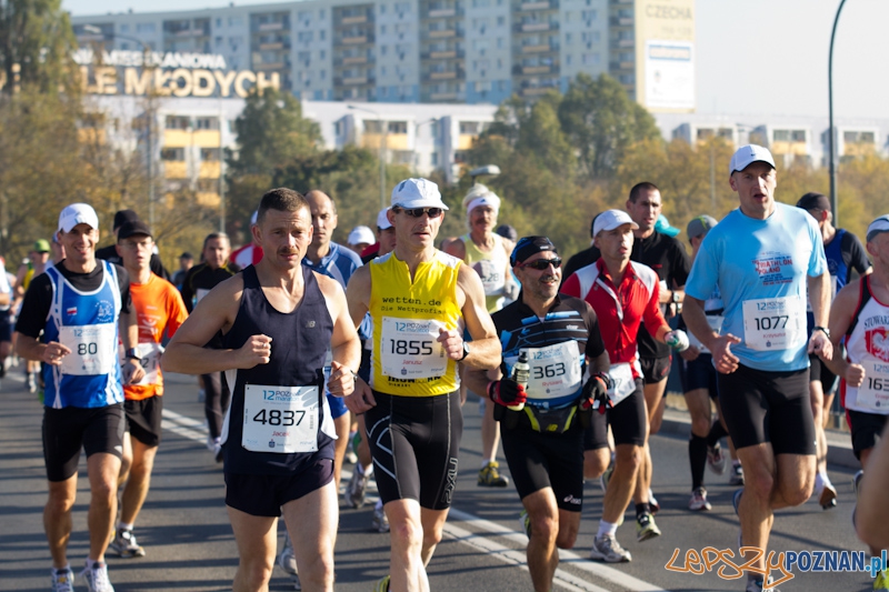 12 Poznań Maraton - Poznań 16.11.2011 r. Foto: lepszyPOZNAN.pl / Piotr Rychter 12 Poznań Maraton - Poznań 16.11.2011 r. Foto: lepszyPOZNAN.pl / Piotr Rychter