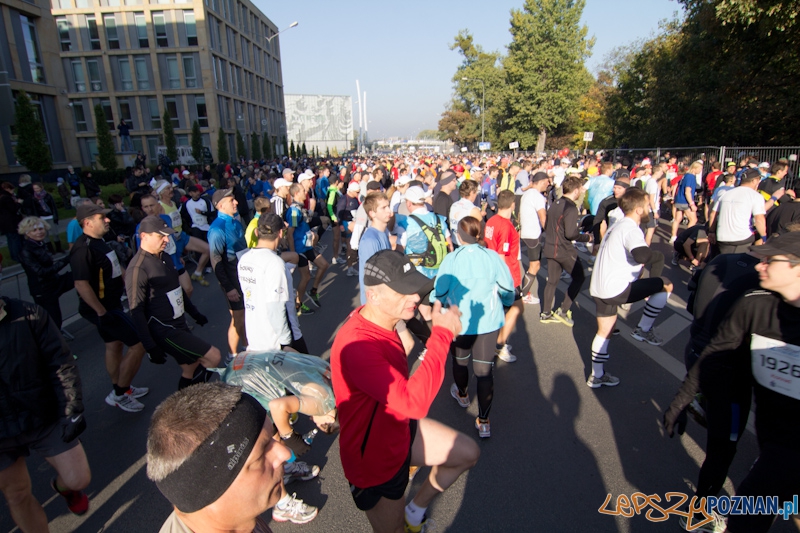 12 Poznań Maraton - Poznań 16.11.2011 r. Foto: lepszyPOZNAN.pl / Piotr Rychter 12 Poznań Maraton - Poznań 16.11.2011 r. Foto: lepszyPOZNAN.pl / Piotr Rychter