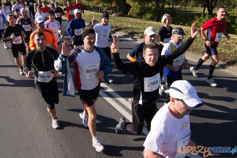 12 Poznań Maraton - Poznań 16.11.2011 r. Foto: lepszyPOZNAN.pl / Piotr Rychter 12 Poznań Maraton - Poznań 16.11.2011 r. Foto: lepszyPOZNAN.pl / Piotr Rychter