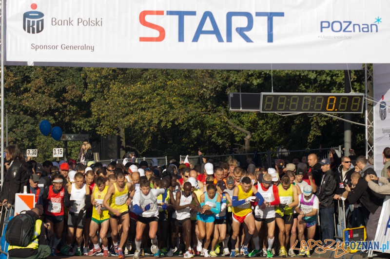 12 Poznań Maraton - Poznań 16.11.2011 r. Foto: lepszyPOZNAN.pl / Piotr Rychter 12 Poznań Maraton - Poznań 16.11.2011 r. Foto: lepszyPOZNAN.pl / Piotr Rychter
