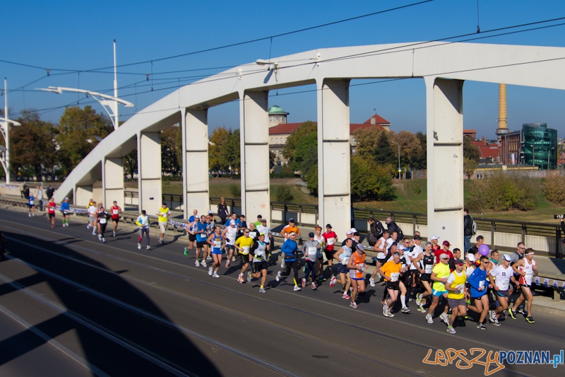 12 Poznań Maraton - Poznań 16.11.2011 r. Foto: lepszyPOZNAN.pl / Piotr Rychter 12 Poznań Maraton - Poznań 16.11.2011 r. Foto: lepszyPOZNAN.pl / Piotr Rychter