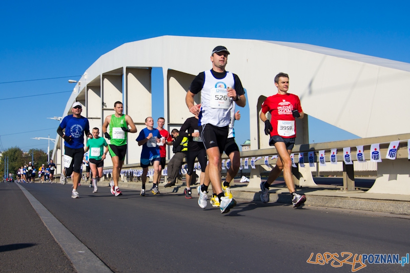 12 Poznań Maraton - Poznań 16.11.2011 r. Foto: lepszyPOZNAN.pl / Piotr Rychter 12 Poznań Maraton - Poznań 16.11.2011 r. Foto: lepszyPOZNAN.pl / Piotr Rychter