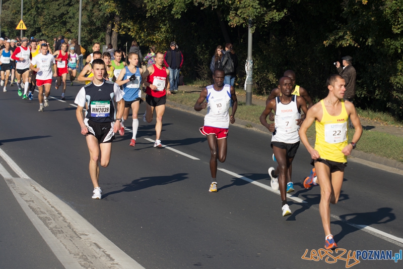 12 Poznań Maraton - Poznań 16.11.2011 r. Foto: lepszyPOZNAN.pl / Piotr Rychter 12 Poznań Maraton - Poznań 16.11.2011 r. Foto: lepszyPOZNAN.pl / Piotr Rychter