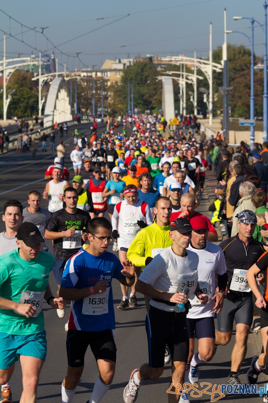 12 Poznań Maraton - Poznań 16.11.2011 r. Foto: lepszyPOZNAN.pl / Piotr Rychter 12 Poznań Maraton - Poznań 16.11.2011 r. Foto: lepszyPOZNAN.pl / Piotr Rychter