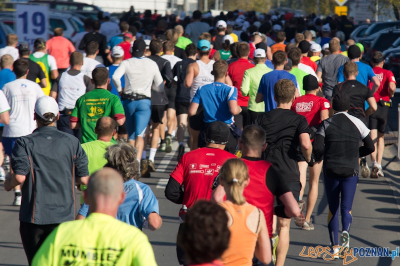 12 Poznań Maraton - Poznań 16.11.2011 r. Foto: lepszyPOZNAN.pl / Piotr Rychter 12 Poznań Maraton - Poznań 16.11.2011 r. Foto: lepszyPOZNAN.pl / Piotr Rychter