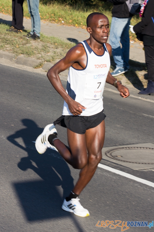12 Poznań Maraton - Poznań 16.11.2011 r. Foto: lepszyPOZNAN.pl / Piotr Rychter 12 Poznań Maraton - Poznań 16.11.2011 r. Foto: lepszyPOZNAN.pl / Piotr Rychter