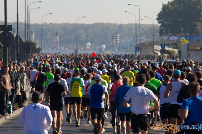 12 Poznań Maraton - Poznań 16.11.2011 r. Foto: lepszyPOZNAN.pl / Piotr Rychter 12 Poznań Maraton - Poznań 16.11.2011 r. Foto: lepszyPOZNAN.pl / Piotr Rychter