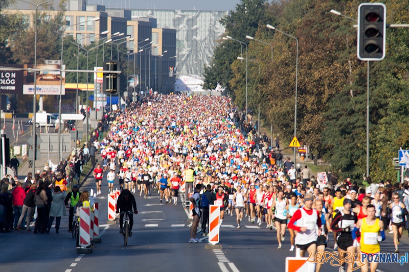 12 Poznań Maraton - Poznań 16.11.2011 r. Foto: lepszyPOZNAN.pl / Piotr Rychter 12 Poznań Maraton - Poznań 16.11.2011 r. Foto: lepszyPOZNAN.pl / Piotr Rychter