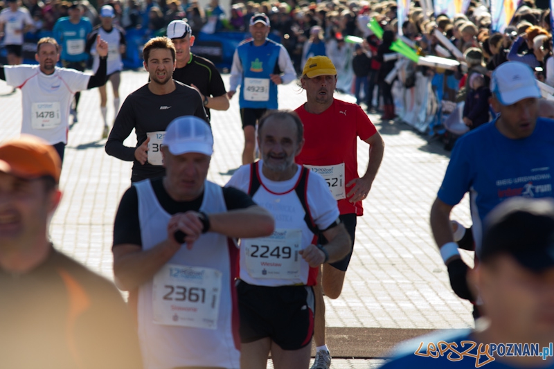 12 Poznań Maraton - Poznań 16.11.2011 r. Foto: lepszyPOZNAN.pl / Piotr Rychter 12 Poznań Maraton - Poznań 16.11.2011 r. Foto: lepszyPOZNAN.pl / Piotr Rychter