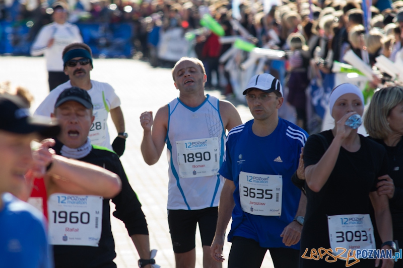 12 Poznań Maraton - Poznań 16.11.2011 r. Foto: lepszyPOZNAN.pl / Piotr Rychter 12 Poznań Maraton - Poznań 16.11.2011 r. Foto: lepszyPOZNAN.pl / Piotr Rychter