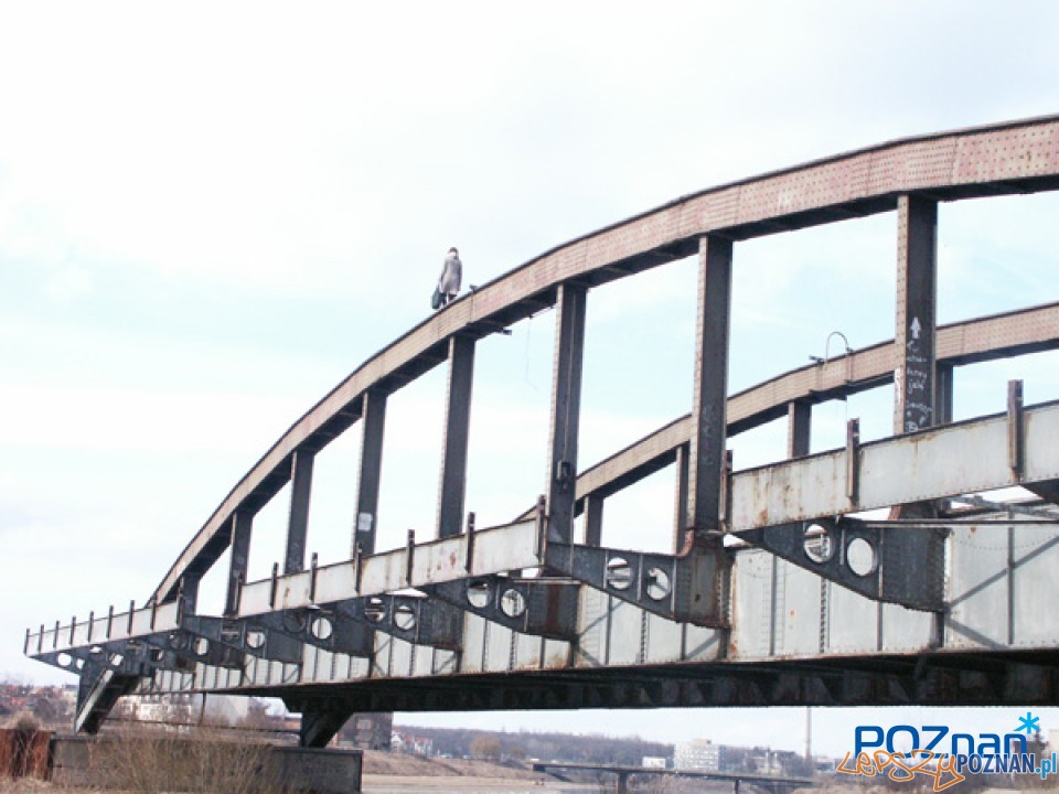 fotoportal.poznan.pl Foto: Maria Kabelis fotoportal.poznan.pl Foto: Maria Kabelis