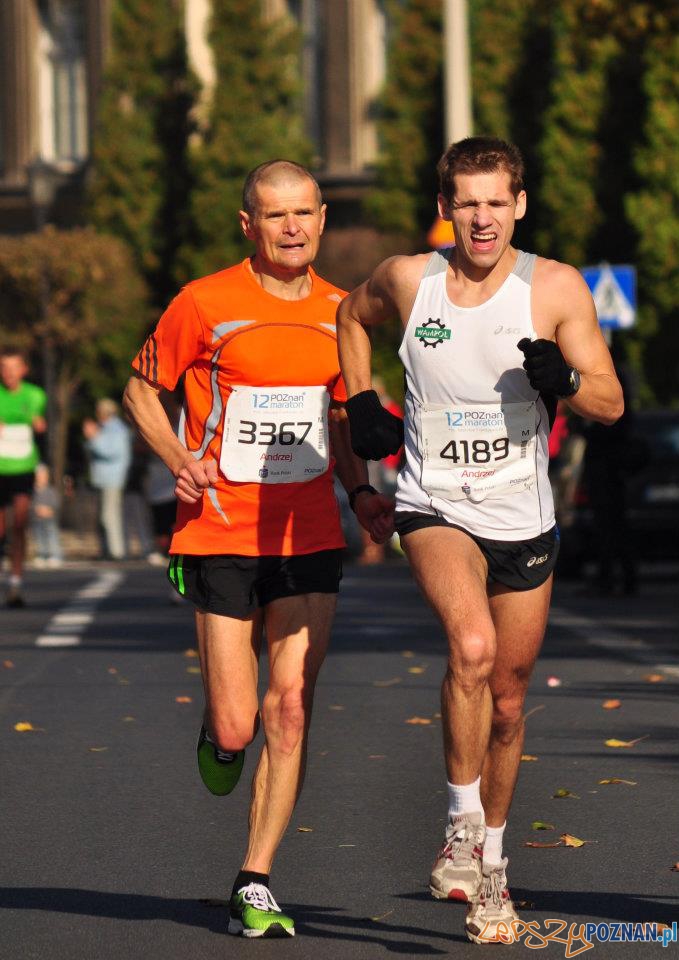 12 Poznań Maraton Foto: lepszyPOZNAN.pl / Ewa Kornatowska 12 Poznań Maraton Foto: lepszyPOZNAN.pl / Ewa Kornatowska