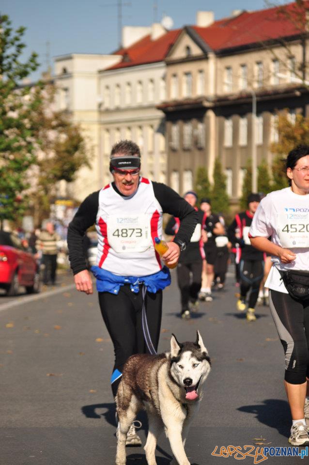 12 Poznań Maraton Foto: lepszyPOZNAN.pl / Ewa Kornatowska 12 Poznań Maraton Foto: lepszyPOZNAN.pl / Ewa Kornatowska