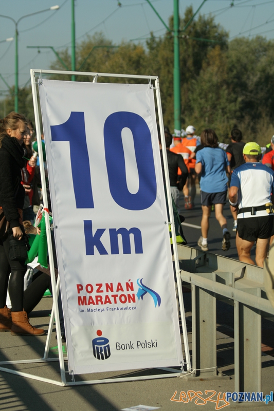 XII Poznań Maraton - Poznań 16.10.2011 r. Foto: Ewelina Gutowska XII Poznań Maraton - Poznań 16.10.2011 r. Foto: Ewelina Gutowska