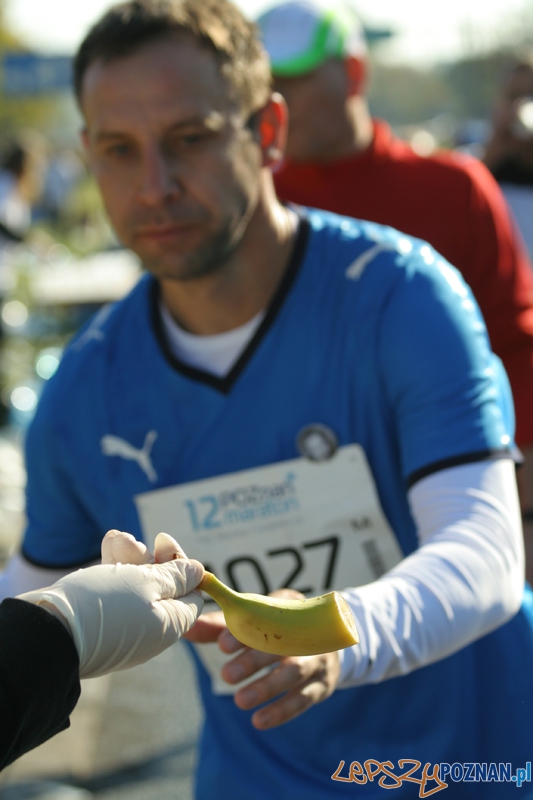 XII Poznań Maraton - Poznań 16.10.2011 r. Foto: Ewelina Gutowska XII Poznań Maraton - Poznań 16.10.2011 r. Foto: Ewelina Gutowska