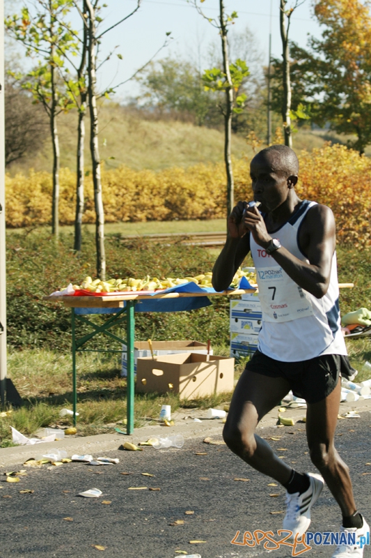 XII Poznań Maraton - Poznań 16.10.2011 r. Foto: Ewelina Gutowska XII Poznań Maraton - Poznań 16.10.2011 r. Foto: Ewelina Gutowska