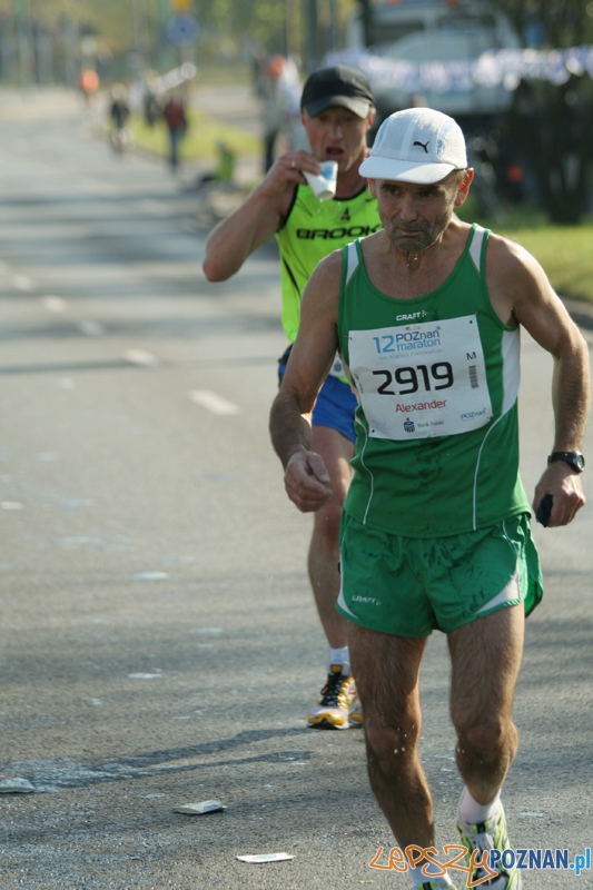 XII Poznań Maraton - Poznań 16.10.2011 r. Foto: Ewelina Gutowska XII Poznań Maraton - Poznań 16.10.2011 r. Foto: Ewelina Gutowska