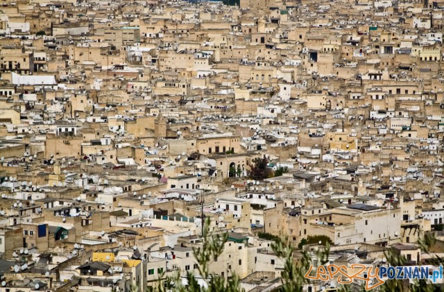 Maroko partnerem Tour Salonu na MTP (2) Foto: materiały prasowe Maroko partnerem Tour Salonu na MTP (2) Foto: materiały prasowe