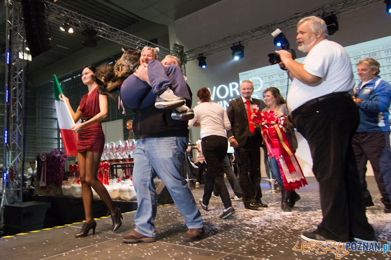 Światowa Wystawa kotów - FIFe World Cat Show 2011 Foto: lepszyPOZNAN.pl / Piotr Rychter Światowa Wystawa kotów - FIFe World Cat Show 2011 Foto: lepszyPOZNAN.pl / Piotr Rychter