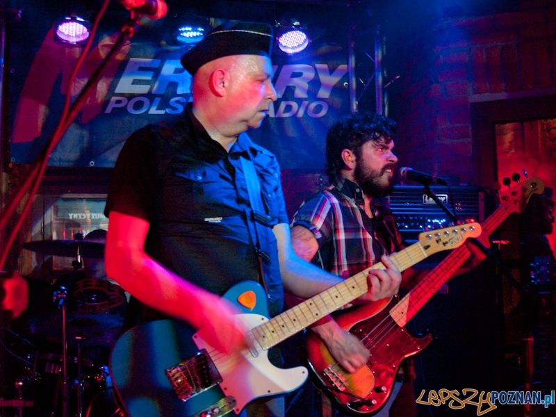 Sztywny Pal Azji w Lizard king Foto: Anna Bernard Sztywny Pal Azji w Lizard king Foto: Anna Bernard