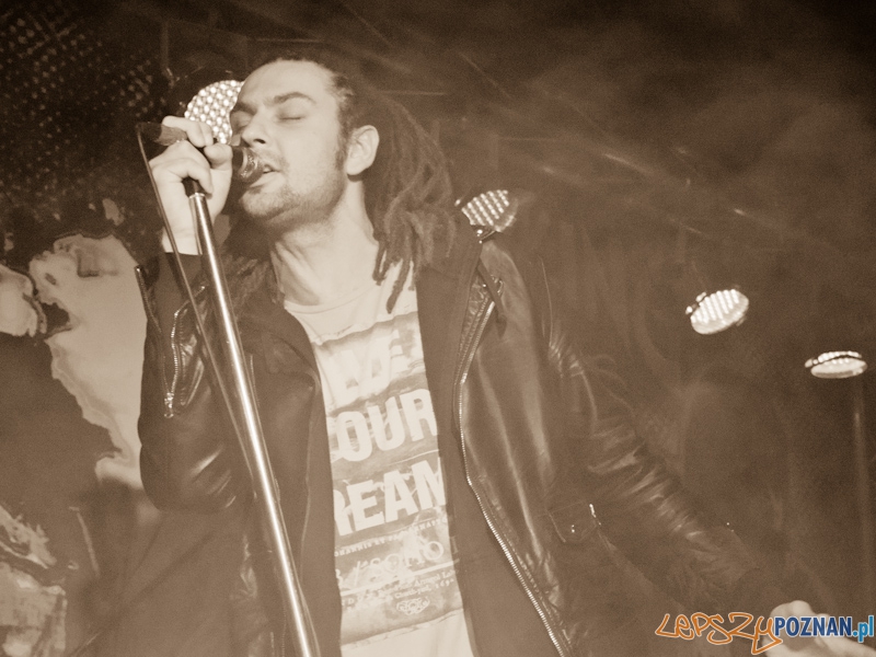 Sztywny Pal Azji w Lizard king Foto: Anna Bernard Sztywny Pal Azji w Lizard king Foto: Anna Bernard