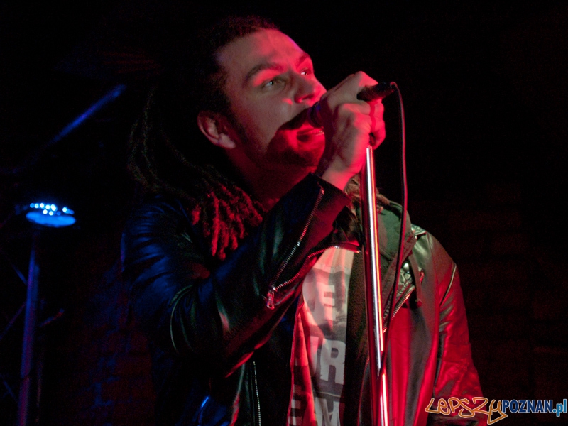 Sztywny Pal Azji w Lizard king Foto: Anna Bernard Sztywny Pal Azji w Lizard king Foto: Anna Bernard