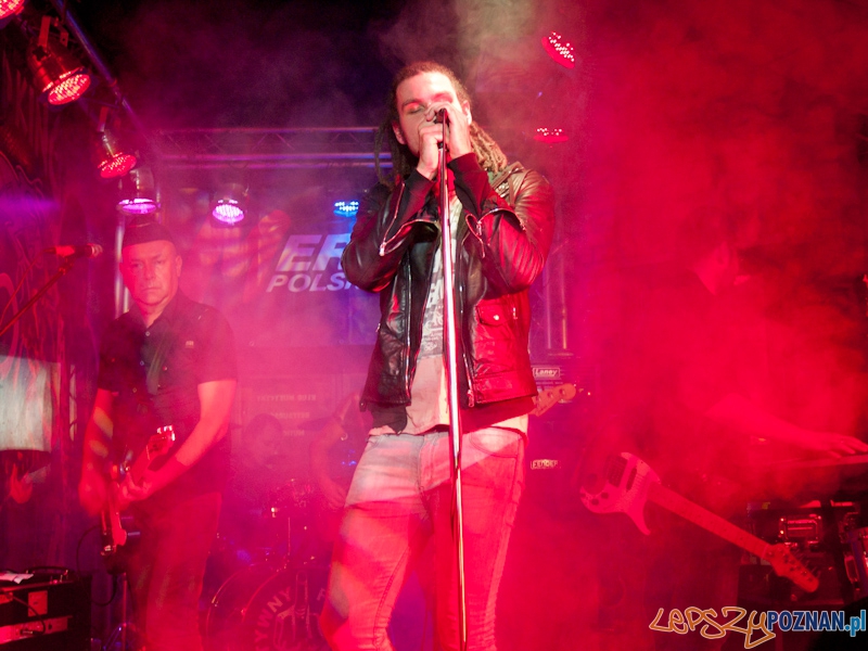 Sztywny Pal Azji w Lizard king Foto: Anna Bernard Sztywny Pal Azji w Lizard king Foto: Anna Bernard