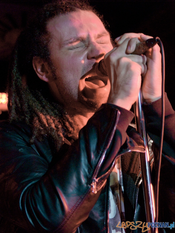 Sztywny Pal Azji w Lizard king Foto: Anna Bernard Sztywny Pal Azji w Lizard king Foto: Anna Bernard