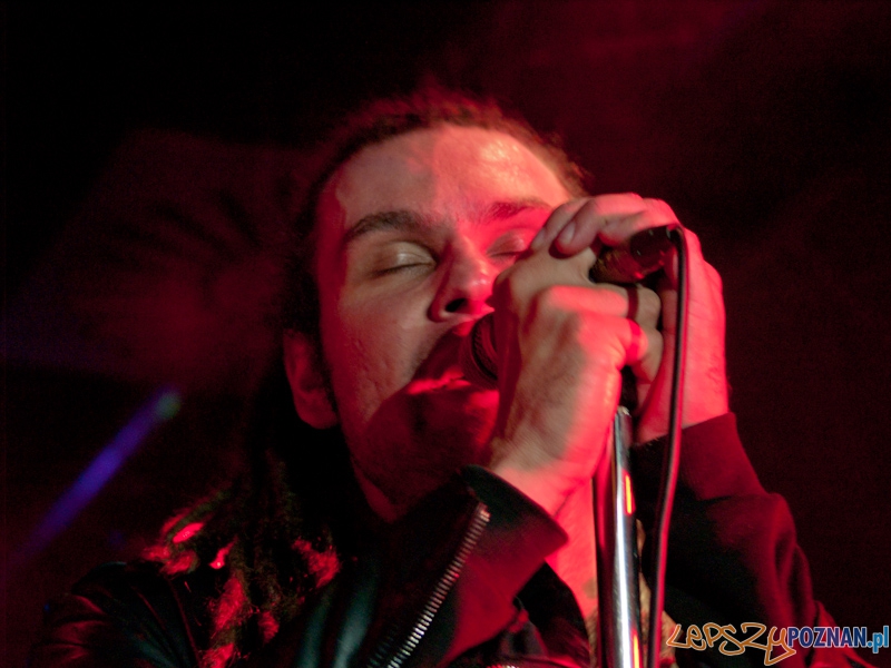 Sztywny Pal Azji w Lizard king Foto: Anna Bernard Sztywny Pal Azji w Lizard king Foto: Anna Bernard