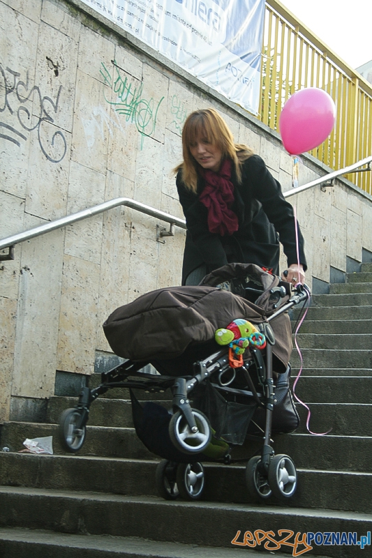 Krytyczna Masa Wózkowa - Poznań - 20.11.2011 r. Foto: Ewelina Gutowska Krytyczna Masa Wózkowa - Poznań - 20.11.2011 r. Foto: Ewelina Gutowska