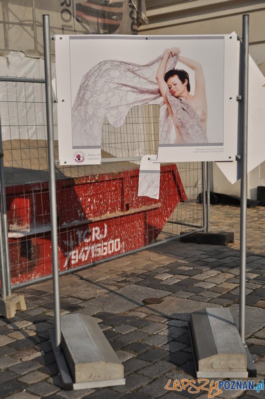 Zniszczona wystawa na Starym Rynku Foto: Zniszczona wystawa na Starym Rynku Foto: