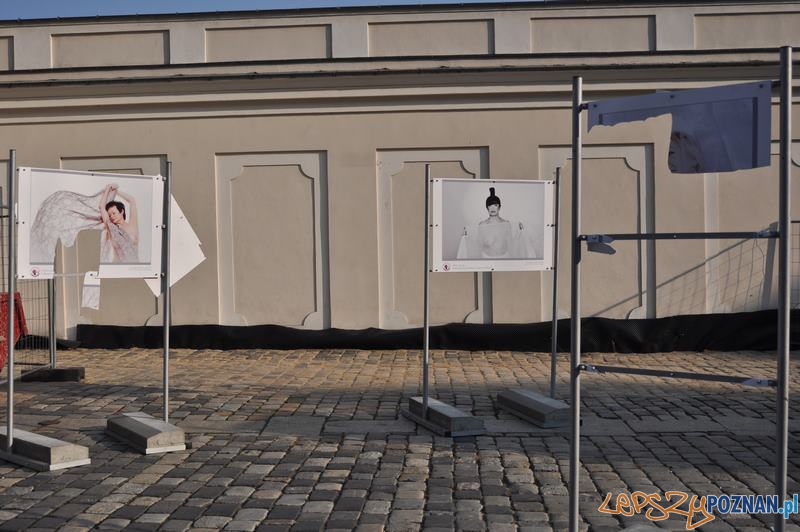 Zniszczona wystawa na Starym Rynku Foto: Katarzyna Piwecka Zniszczona wystawa na Starym Rynku Foto: Katarzyna Piwecka