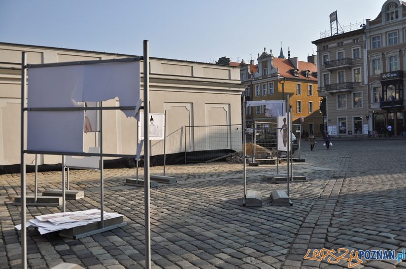Zniszczona wystawa na Starym Rynku Foto: Katarzyna Piwecka Zniszczona wystawa na Starym Rynku Foto: Katarzyna Piwecka
