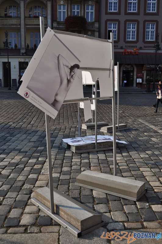 Zniszczona wystawa na Starym Rynku Foto: Katarzyna Piwecka Zniszczona wystawa na Starym Rynku Foto: Katarzyna Piwecka