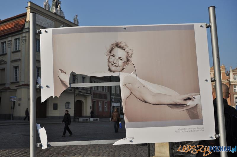 Zniszczona wystawa na Starym Rynku Foto: Katarzyna Piwecka Zniszczona wystawa na Starym Rynku Foto: Katarzyna Piwecka