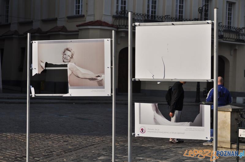 Zniszczona wystawa na Starym Rynku Foto: Katarzyna Piwecka Zniszczona wystawa na Starym Rynku Foto: Katarzyna Piwecka