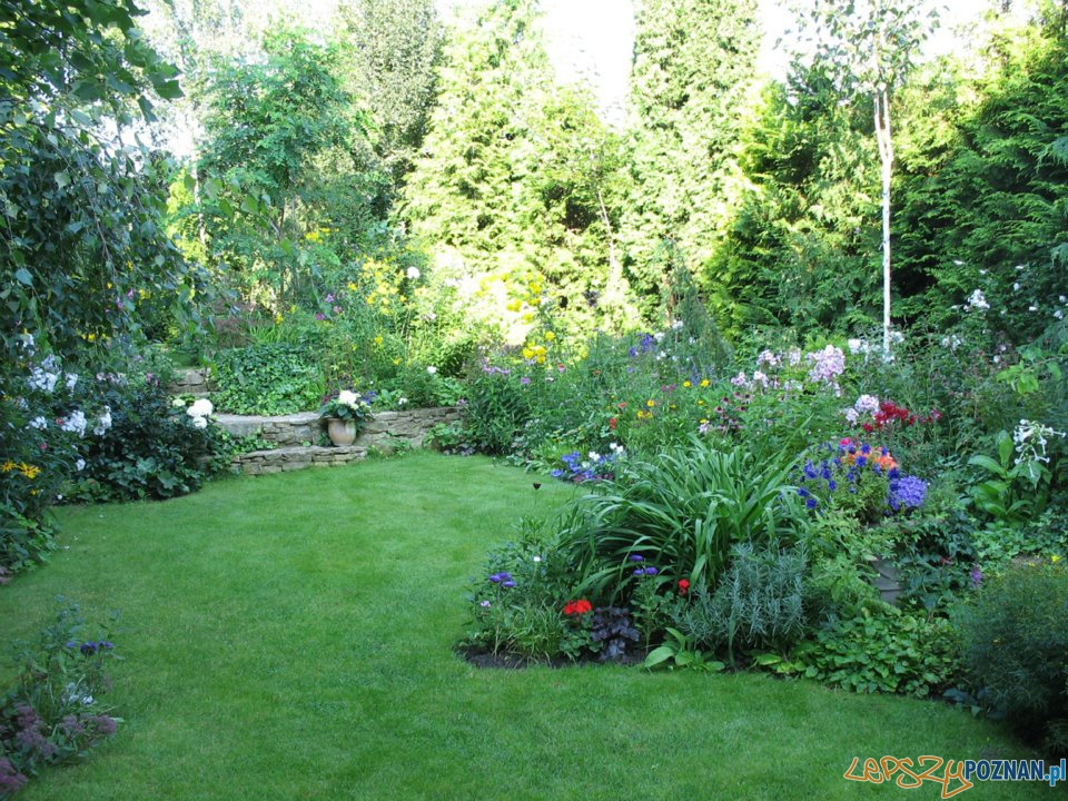 I m-ce w kategorii ogrody przydomowe - Barbara Durowicz, ul. Orna 16  Foto: UM Poznania