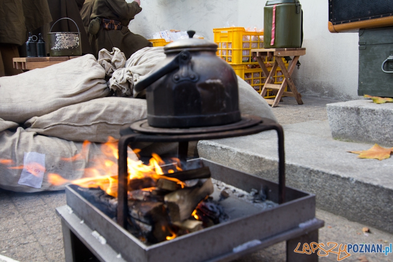 Obchody Dnia Niepodległości - 11.11.11 - Plac Wolności Foto: lepszyPOZNAN.pl / Piotr Rychter Obchody Dnia Niepodległości - 11.11.11 - Plac Wolności Foto: lepszyPOZNAN.pl / Piotr Rychter