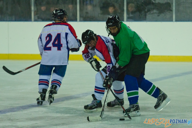 Dzikie Krokodyle Poznań vs. PTH Poznań - Lodowisko Chwiałka 21.11.2011 r. Foto: lepszyPOZNAN.pl / Piotr Rychter Dzikie Krokodyle Poznań vs. PTH Poznań - Lodowisko Chwiałka 21.11.2011 r. Foto: lepszyPOZNAN.pl / Piotr Rychter