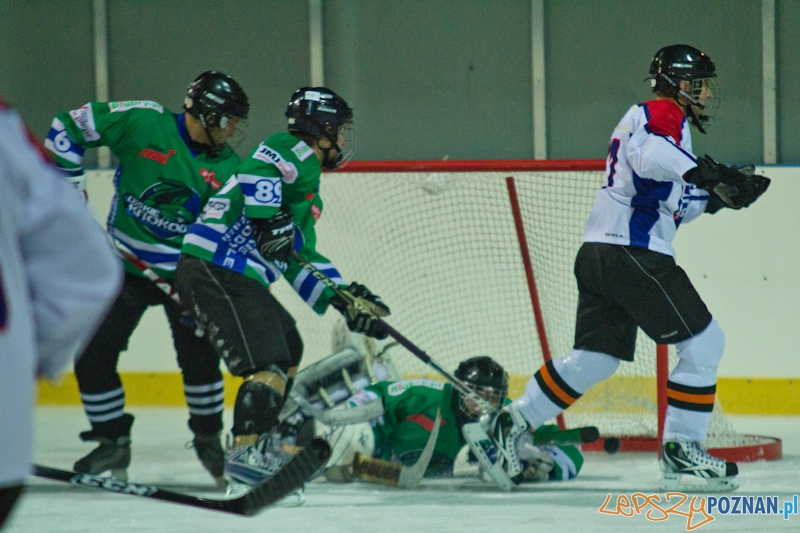 Dzikie Krokodyle Poznań vs. PTH Poznań - Lodowisko Chwiałka 21.11.2011 r. Foto: lepszyPOZNAN.pl / Piotr Rychter Dzikie Krokodyle Poznań vs. PTH Poznań - Lodowisko Chwiałka 21.11.2011 r. Foto: lepszyPOZNAN.pl / Piotr Rychter