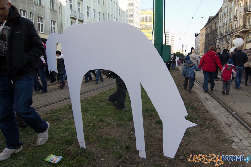 Imieniny ulicy Święty Marcin - Korowód Świętomarciński - 11.11.11 r. Foto: lepszyPOZNAN.pl / Piotr Rychter Imieniny ulicy Święty Marcin - Korowód Świętomarciński - 11.11.11 r. Foto: lepszyPOZNAN.pl / Piotr Rychter
